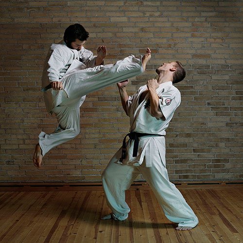 styles-in-karate